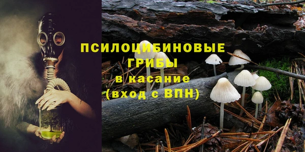 spice Алексин