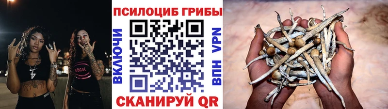 Псилоцибиновые грибы MAGIC MUSHROOMS  Полярные Зори 